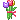 꽃다발