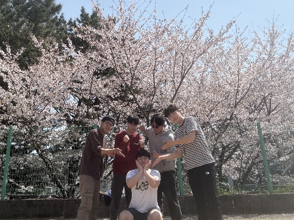 25.04 봄맞이 벚꽃구경 나들이 대표이미지